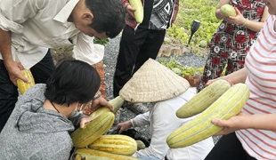 CHIPCHOP FARM