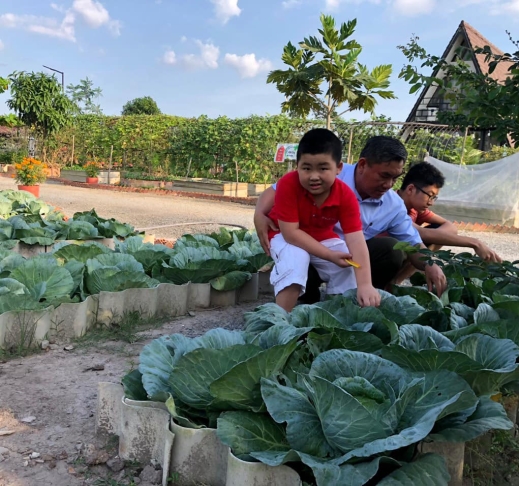 CHIPCHOP FARM